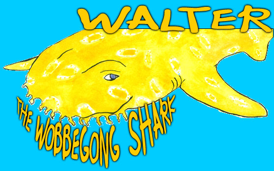 Walter The Wobbegong Shark